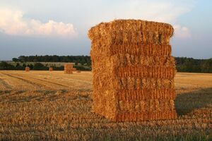 Haystack