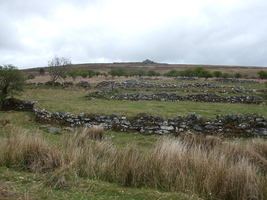 Ruins on Dartmoor